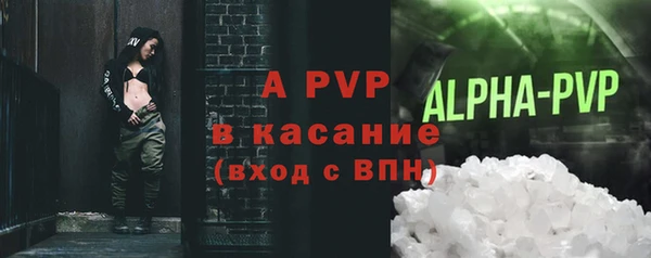 PSILOCYBIN Белокуриха