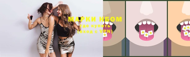 PSILOCYBIN Белокуриха