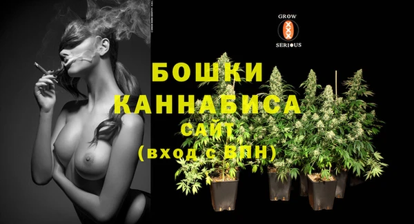 PSILOCYBIN Белокуриха