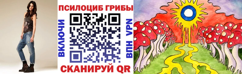 shop наркотические препараты  Чаплыгин  Псилоцибиновые грибы GOLDEN TEACHER  закладки 